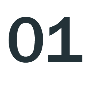 1n-01