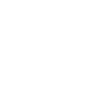 vison-01